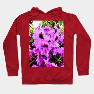 The Rhododendron Hoodie